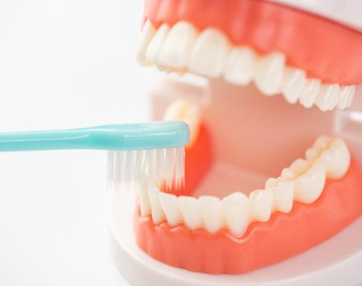  正しい歯磨き指導