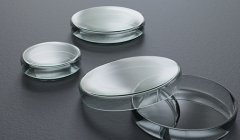 唾液検査でわかること