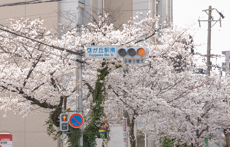 アクセス 藤が丘駅から当院までのアクセス